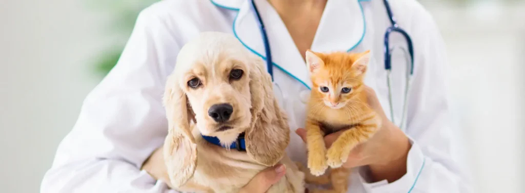 Nuestras especialidades