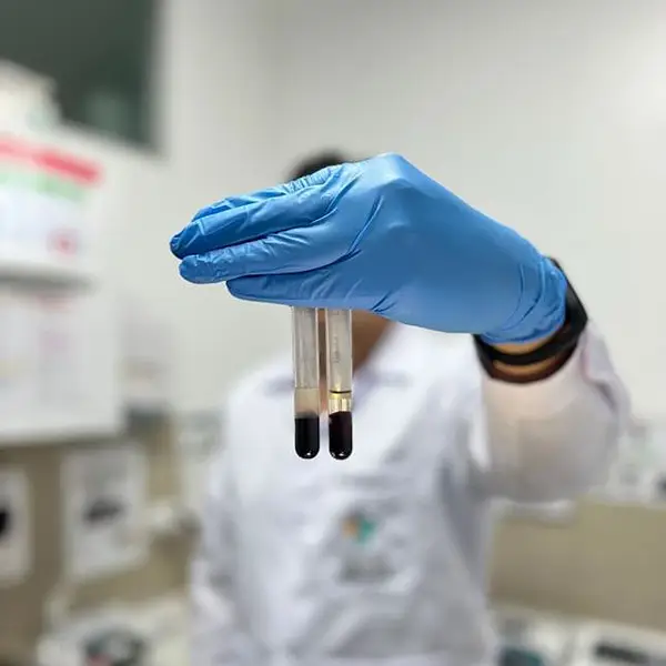 Ayuno para exámenes de sangre en mascotas: horas y consejos